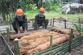 Các chiến sỹ công binh - Bộ Chỉ huy Quân sự tỉnh Hà Giang rà phá thành công vật liệu nổ còn sót lại trong chiến tranh. (Ảnh: Minh Tâm/TTXVN) 