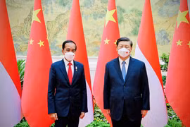  Chủ tịch Trung Quốc Tập Cận Bình (phải) và Tổng thống Indonesia Joko Widodo. (Nguồn: Reuters) 