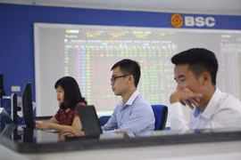 Ảnh minh họa. (Nguồn: BNews/TTXVN) 