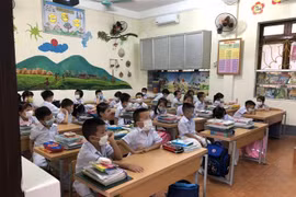 (Ảnh minh họa: Nguyễn Chiến/TTXVN) 