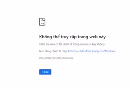 Website sàn Forex với tên miền exness.vn đã bị chặn tại Việt Nam. (Ảnh chụp màn hình)