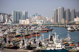 Cảng hàng hóa ở Busan, Hàn Quốc. (Ảnh: THX/TTXVN)