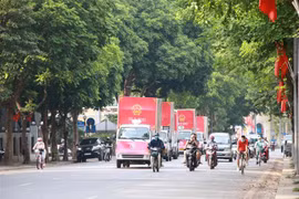 (Ảnh: Đinh Thuận/TTXVN) 