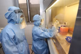 Tách mẫu sinh phẩm để xác định virus SARS-CoV-2. (Ảnh: Dương Giang/TTXVN) 