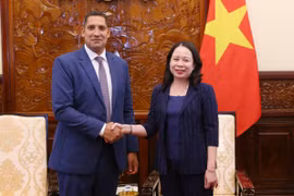 Chiều 15/10/2024, Phó Chủ tịch nước Võ Thị Ánh Xuân tiếp Đại sứ Thụy Điển tại Việt Nam Johan Ndisi. (Ảnh: Phạm Kiên/TTXVN)