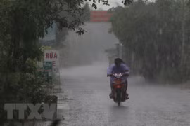 Ảnh minh họa. (Nguồn: TTXVN) 