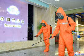 Nhân viên phun thuốc khử trùng nhằm ngăn chặn sự lây lan của dịch COVID-19 tại Bình Nhưỡng, Triều Tiên, ngày 29/3/2022. (Ảnh: YONHAP/TTXVN) 
