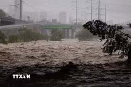 Bão lớn ở Mexicon. (Nguồn: AFP/TTXVN)
