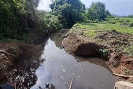 Nước của dòng suối Bà Tài có màu nước đen ngòm và hôi thối nồng nặc, khiến nhiều năm nay người dân 2 ấp Nghi Lộc và Đông Linh không thể lấy nước để tưới tiêu cho ruộng lúa và hoa màu. (Ảnh: Hoàng Nhị/TTXVN) 
