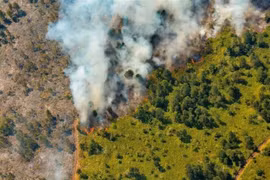 Khói bốc lên từ đám cháy rừng tại Pinares de Mayari, Cuba ngày 23/2/2023. (Ảnh: REUTERS/TTXVN)