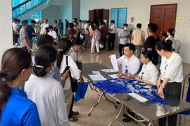 Phiên đấu giá đất tại Hoài Đức, Hà Nội có 517 khách hàng tham gia, đăng ký 1.100 bộ hồ sơ, lập kỷ lục về thời gian đấu giá 19 lô đất. (Ảnh: TTXVN phát)