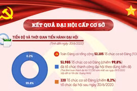 [Infographics] Một số kết quả nổi bật đại hội tổ chức cơ sở đảng