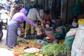 Ảnh minh họa. (Nguồn: Quốc Dũng/TTXVN) 