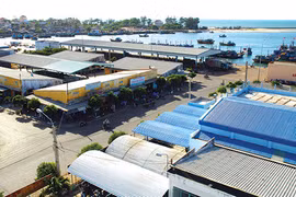 Cảng cá Phan Thiết. (Nguồn: Báo Bình Thuận) 