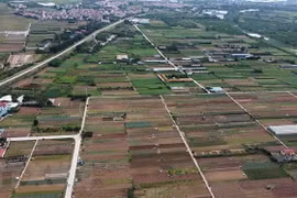 (Ảnh minh họa: Vũ Sinh/TTXVN)