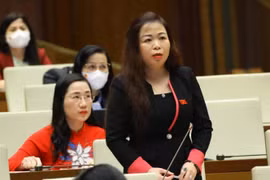 Đại biểu Quốc hội thành phố Hà Nội Vũ Thị Lưu Mai phát biểu. (Ảnh: Văn Điệp/TTXVN) 