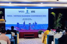 Quang cảnh Hội nghị Doanh nghiệp Việt Nam-Ấn Độ. (Ảnh: Mỹ Phương/TTXVN)