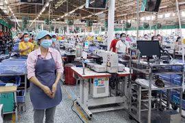 Công nhân trong một nhà máy ở Đồng Nai. (Ảnh: Lê Xuân/TTXVN) 