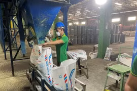 Một dây chuyền sản xuất phân bón chứa silic. (Nguồn: BNEWS/TTXVN)