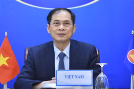 Bộ trưởng Bộ Ngoại giao Bùi Thanh Sơn dự Hội nghị trực tuyến cam kết hỗ trợ nhân đạo của ASEAN cho Myanmar. (Ảnh: TTXVN) 
