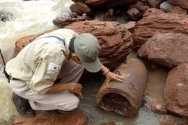 Quả bom được phát hiện ở khu vực biên giới xã Dân Hóa (huyện Minh Hóa, Quảng Bình) có trọng lượng khoảng 334 kg,đã mất phần đuôi nhưng còn nguyên thuốc nổ. (Ảnh: TTXVN phát) 
