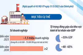 Đến năm 2025, khu vực kinh tế tư nhân đóng góp vào GDP đạt khoảng 55%