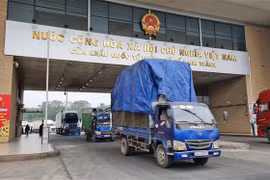 Những lô hàng xuất khẩu đầu tiên qua cửa khẩu quốc tế Lào Cai. (Ảnh: Hương Thu/TTXVN) 
