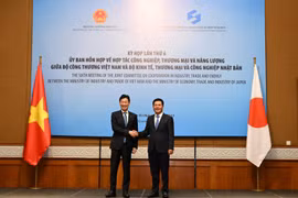 Bộ trưởng Bộ Công Thương Việt Nam Nguyễn Hồng Diên và Bộ trưởng Bộ Kinh tế, Thương mại và Công nghiệp Nhật Bản Nishimura Yasutoshi đồng chủ trì Kỳ họp lần thứ 6, Ủy ban hỗn hợp Việt Nam-Nhật Bản. (Ảnh: Đức Duy/Vietnam+)