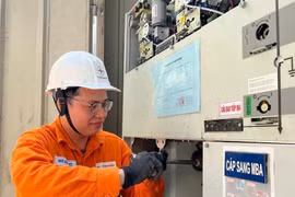 Nhân viên ngành điện kiểm tra vận hành an toàn các thiết bị. (Ảnh: Đức Duy/Vietnam+)