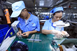 Doanh nghiệp đầu tư công nghệ, nâng cao giá trị xuất khẩu. (Ảnh: Đức Duy/Vietnam+)