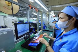 Đáp ứng các tiêu chuẩn cao tạo đà cho hàng hóa nâng cao sức cạnh tranh. (Ảnh: Đức Duy/Vietnam+)
