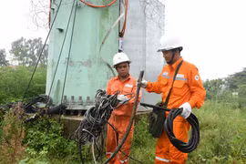 Theo EVNHANOI, các đối tượng liều lĩnh thực hiện hành vi trộm cắp nhiều lần tại một vị trí. (Ảnh: PV/Vietnam+)