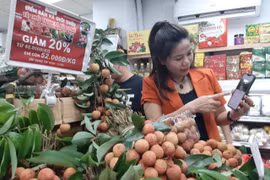 Thương mại điện tử phát triển nhanh chóng đã hỗ trợ tích cực cho ngành bán lẻ. (Ảnh: Đức Duy/Vietnam+)