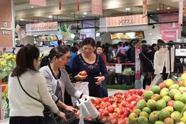 Nhiều chương trình bình ổn thị trường được đưa ra để hỗ trợ người tiêu dùng. (Ảnh: Xuân Quảng/Vietnam+) 