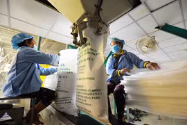 Các doanh nghiệp đóng gói mặt hàng gạo phục vụ xuất khẩu. (Ảnh: Đức Duy/Vietnam+)