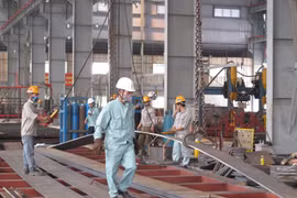 Đáp ứng các tiêu chuẩn cao của thị trường để thúc đẩy xuất khẩu. (Ảnh: Đức Duy/Vietnam+)