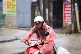 Ảnh chỉ có tính minh họa. (Ảnh: Minh Sơn/Vietnam+)