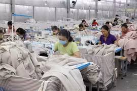 Hội Hữu nghị Nga-Việt: Đại hội XIII thành công trên nhiều phương diện