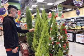 Nhận định về tình hình thời tiết dịp lễ Noel và Tết Dương lịch