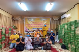 (Ảnh minh họa. Thu Phương/TTXVN)