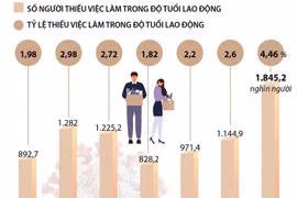 Đại dịch COVID-19 ảnh hưởng tiêu cực tới việc làm của người lao động