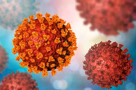 Virus SARS-CoV-2 và ảnh hưởng với hệ thống sinh sản nam giới