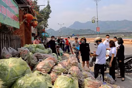 Các mặt hàng nông sản bắp cải, cà rốt... của nông dân Hải Dương được bày bàn tại điểm giải cứu ở Hòa Bình. (Ảnh: Thanh Hải/TTXVN) 