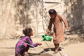 Anh hối thúc các nước G7 thảo luận về hỗ trợ người dân Afghanistan