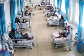 TP. HCM yêu cầu không được chậm trễ hoặc từ chối tiếp nhận người bệnh