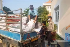 (Ảnh minh họa. Trần Ngọc Long/TTXVN)