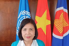 Đại sứ Lê Thị Tuyết Mai, Trưởng Phái đoàn Việt Nam bên cạnh Liên hợp quốc, Tổ chức Thương mại thế giới và các tổ chức quốc tế khác tại Geneva. (Ảnh: TTXVN)