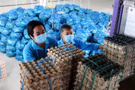 Đồng Nai kịp thời hỗ trợ đối tượng khó khăn do đại dịch COVID-19