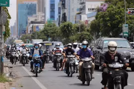 (Ảnh: Nguyễn Vũ Hùng/TTXVN)