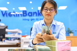 Ngân hàng dành hàng trăm nghìn tỷ đồng ưu đãi lãi suất cho khách hàng. (Ảnh: Vietnam+)